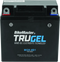 BikeMaster Trugel Battery MG9-4B1